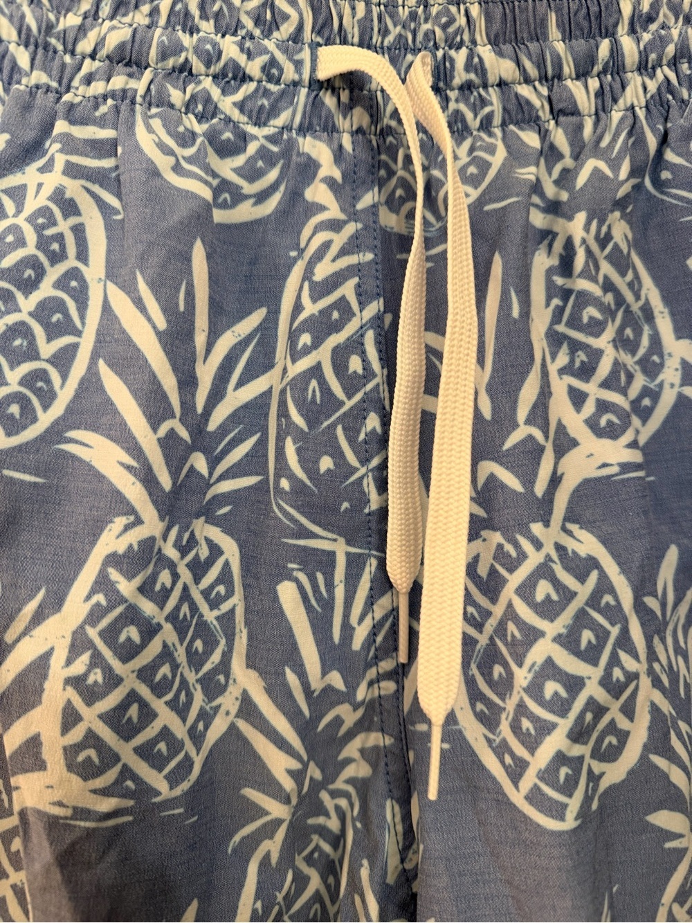Chubbies Men's Classic 5.5" Swim Trunks in Blue Pineapple Print, Small - Picture 7 of 12